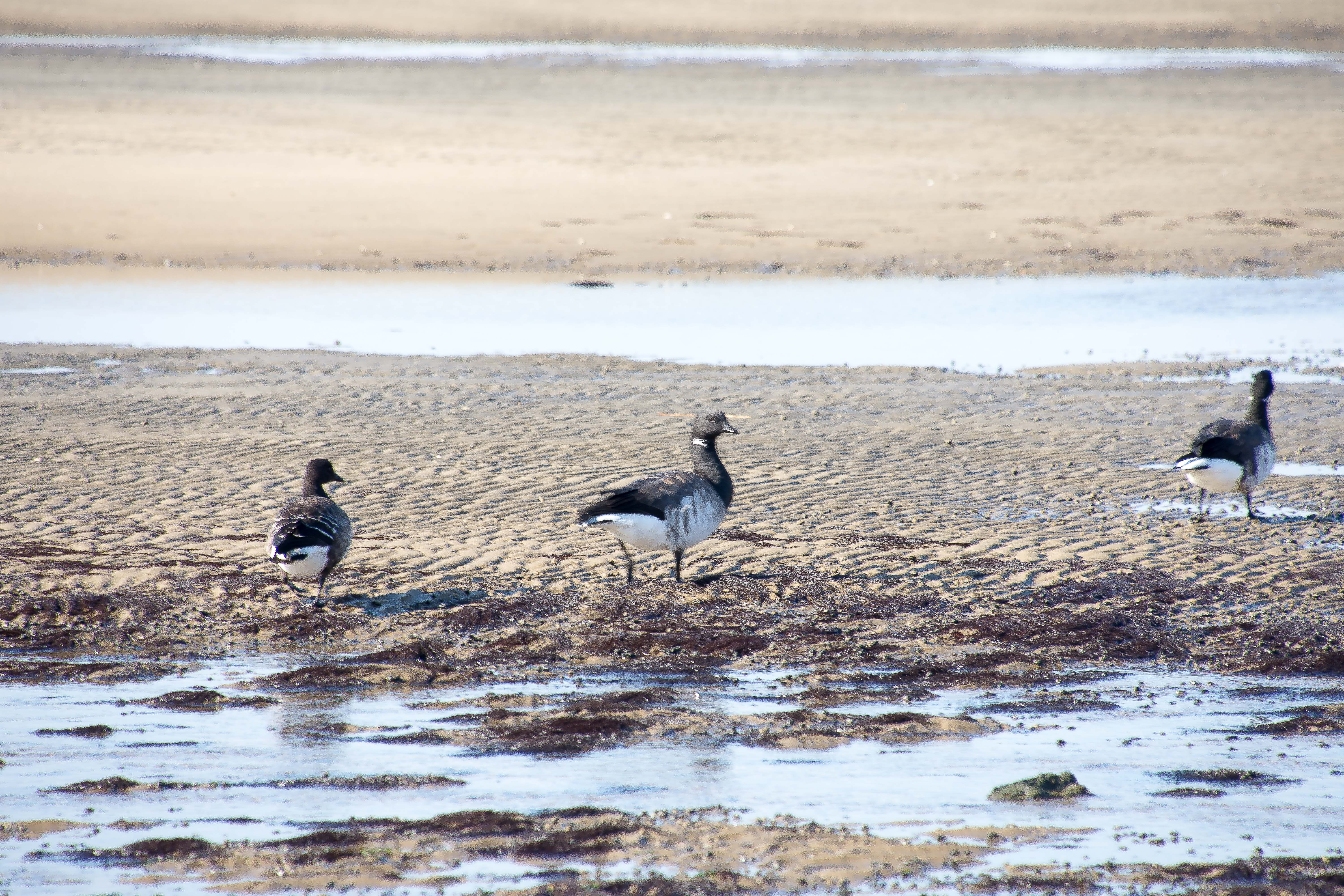 Lin and Michael's Photos