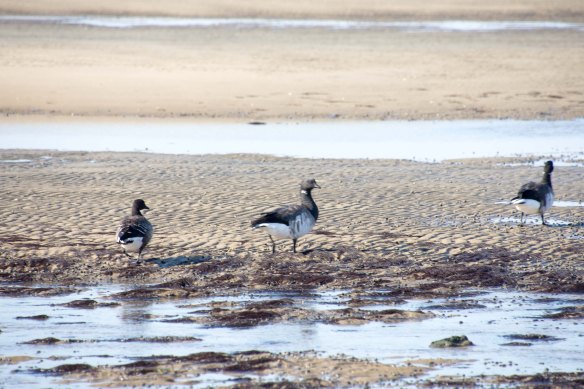 Lin and Michael's Photos