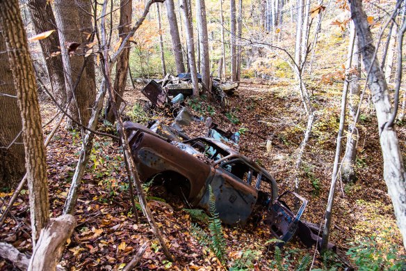 Lin and Michael's Photos