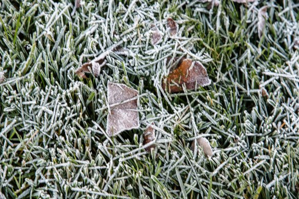 Lin and Michael's Photos