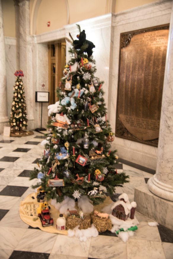 Lin and Michael's Photos