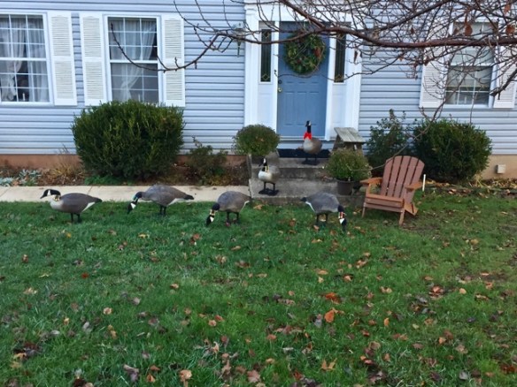 Lin and Michael's Photos