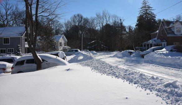 Lin and Michael's Photos