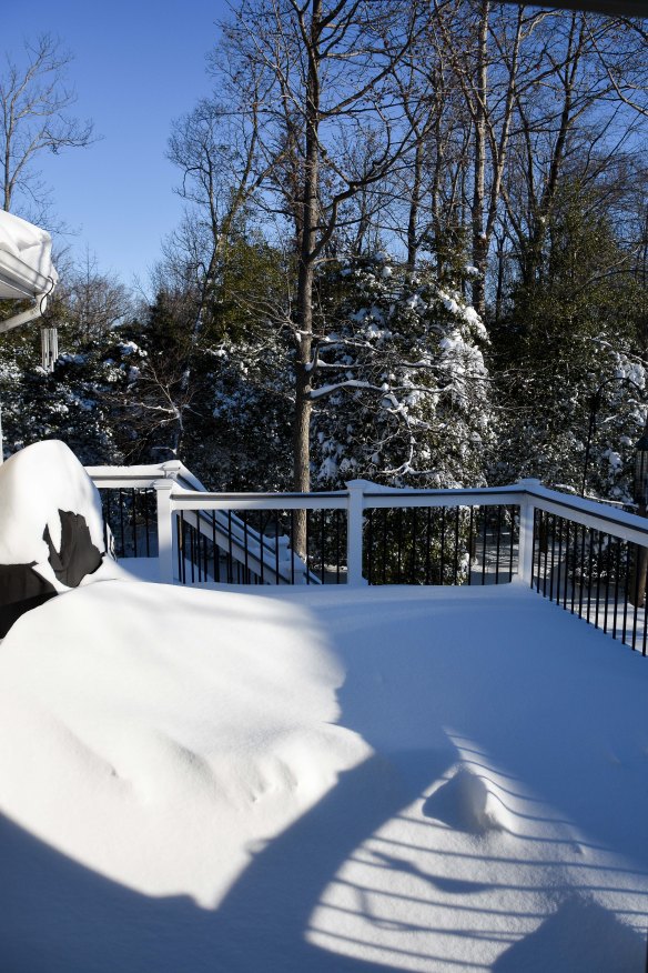 Lin and Michael's Photos