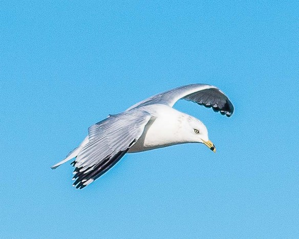 Lin and Michael's Photos