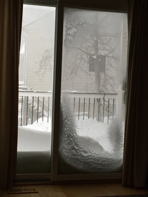 Lin and Michael's Photos