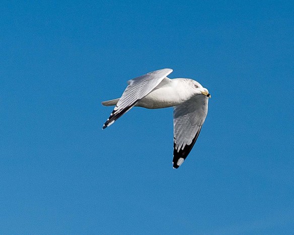 Lin and Michael's Photos