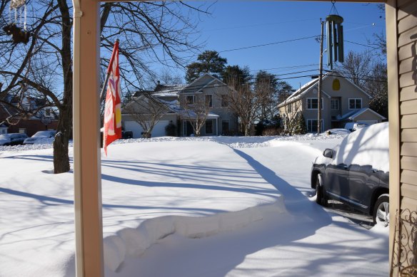 Lin and Michael's Photos