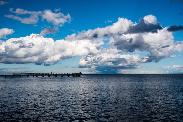 Lin and Michael's Photos