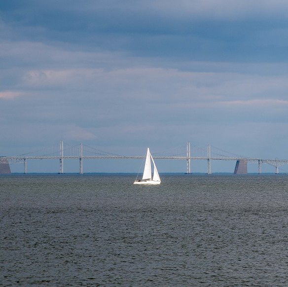 Lin and Michael's Photos