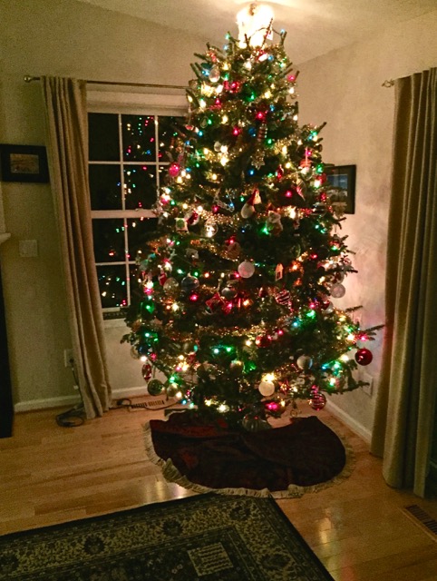 Lin and Michael's Photos