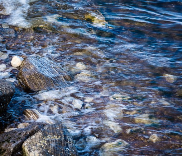 Lin and Michael's Photos