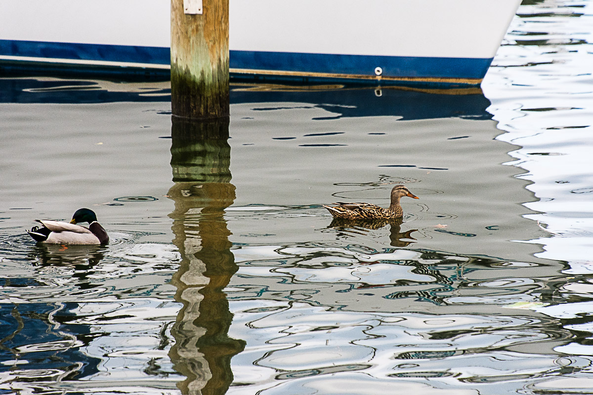 Lin and Michael's Photos