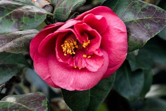 Lin and Michael's Photos