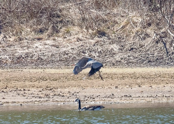 Lin and Michael's Photos