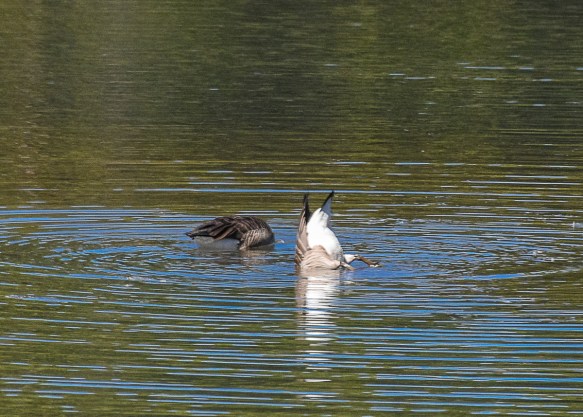 Lin and Michael's Photos