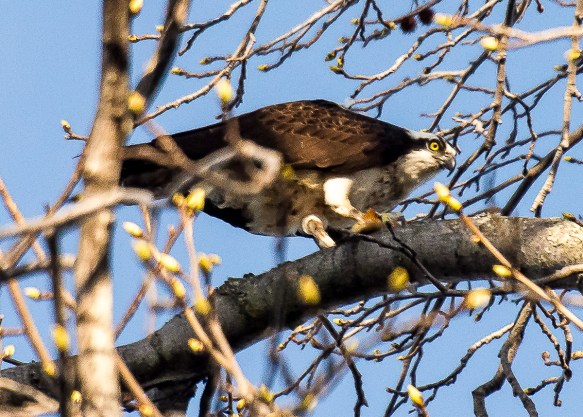 Lin and Michael's Photos