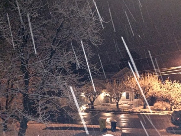 Lin and Michael's Photos