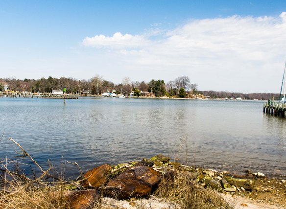 Lin and Michael's Photos