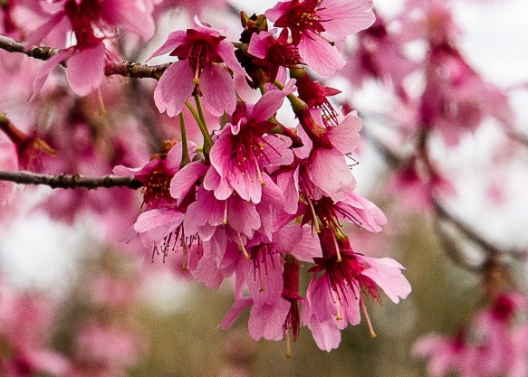 Lin and Michael Photos