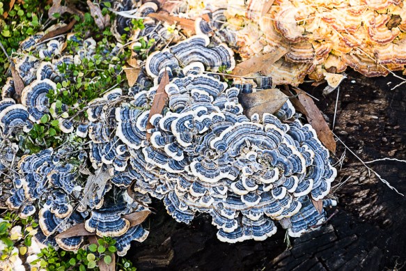 Lin and Michael's Photos