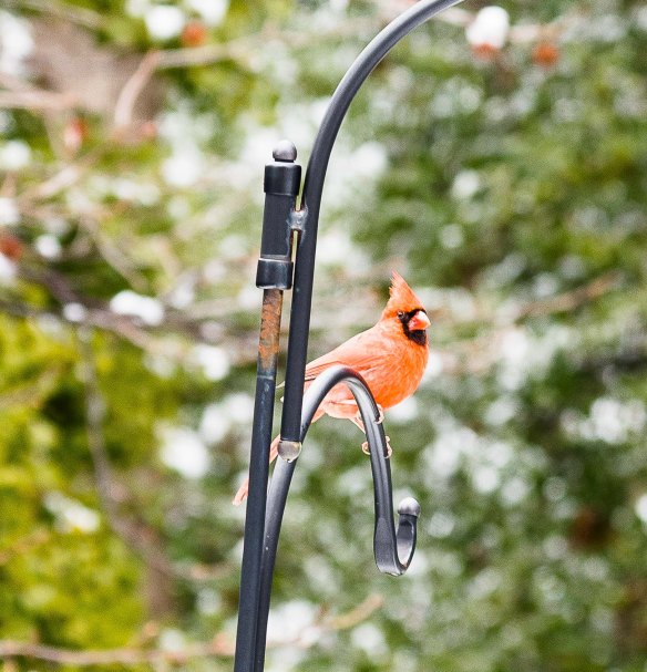 Lin and Michael's Photos