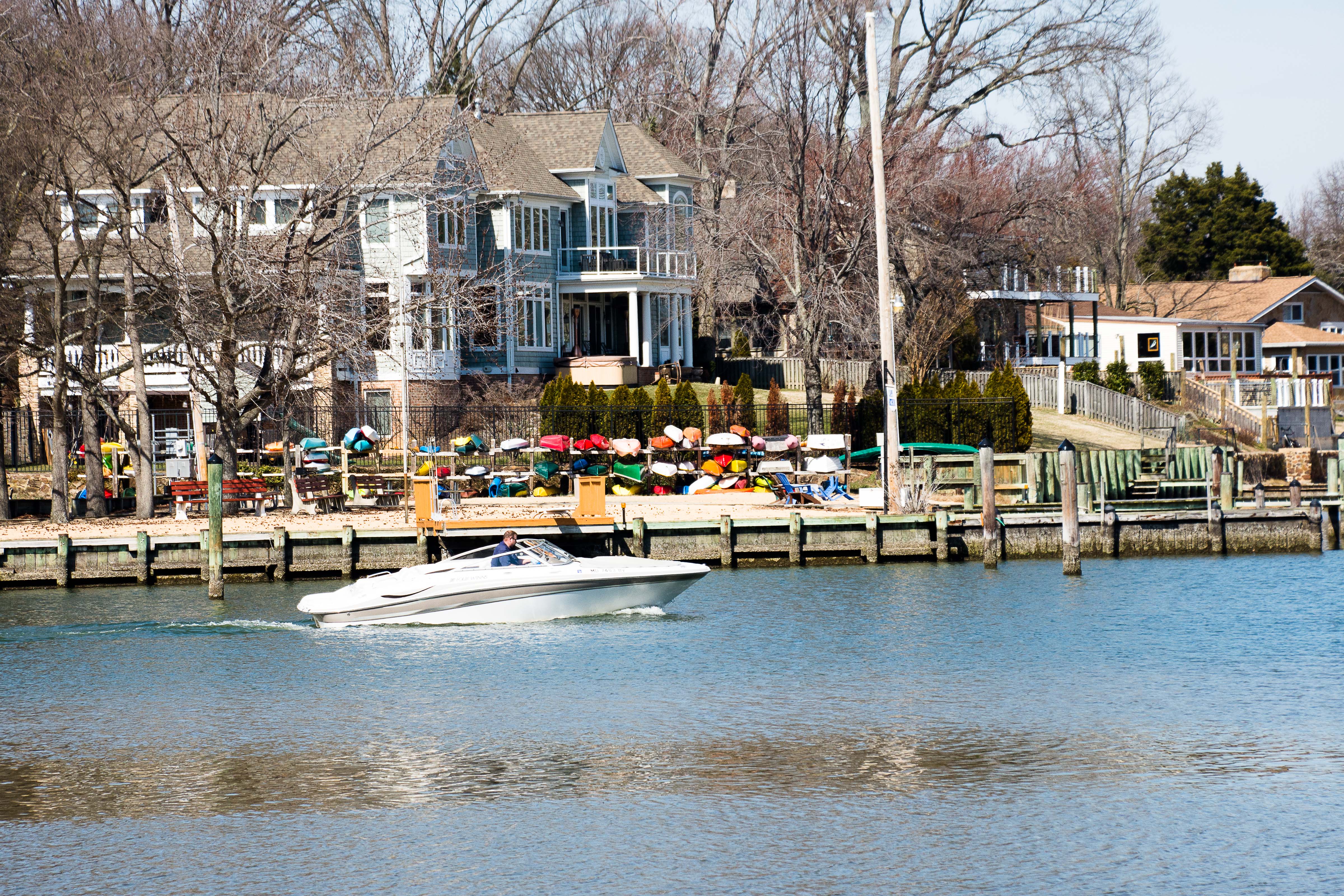 Lin and Michael's Photos