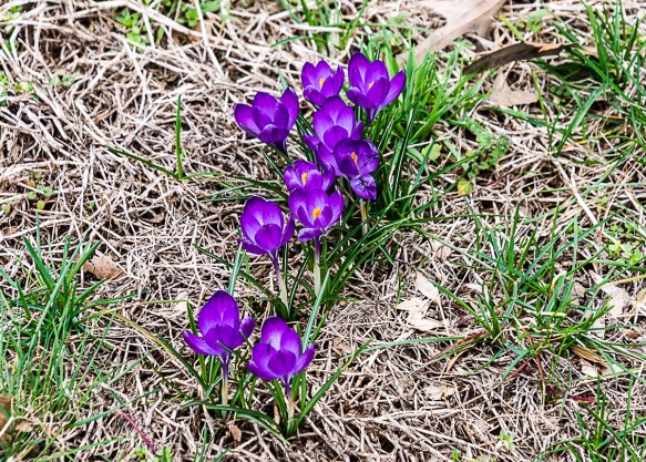 Lin and Michael's Photos