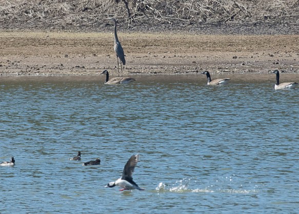 Lin and Michael's Photos