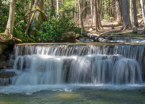 Lin and Michael's Photos