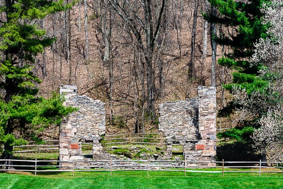 Lin and Michael's Photos