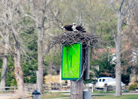 Lin and Michael's Photos