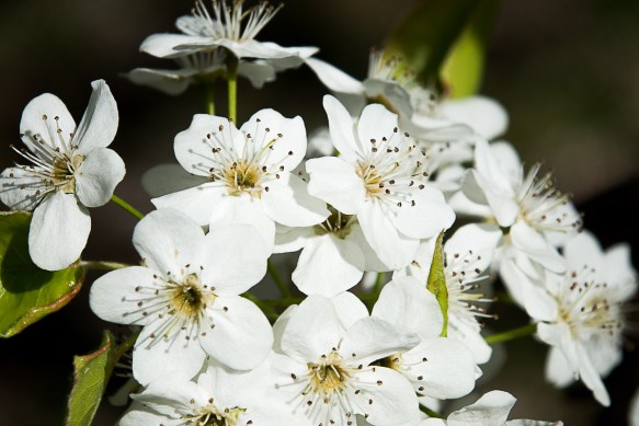 Lin and Michael's Photos