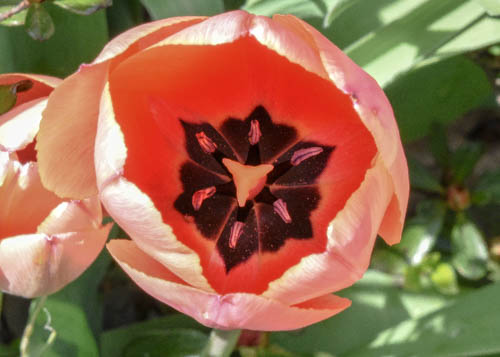 Lin and Michael's Photos