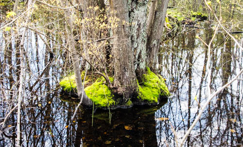 Lin and Michael's Photos