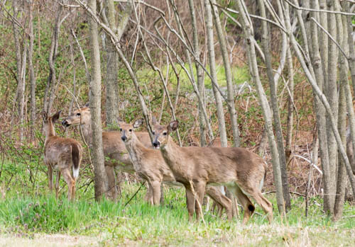 Lin and Michael's Photos