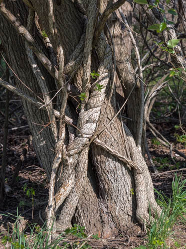 Lin and Michael's Photos