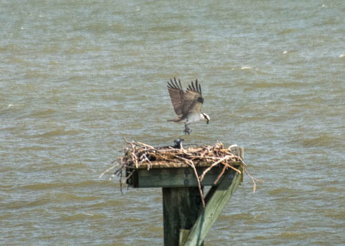 Lin and Michael's Photos