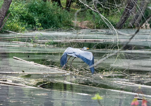 Lin and Michael's Photos