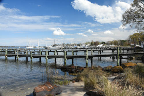 Lin and Michael's Photos