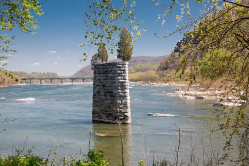 Lin and Michael's Photos