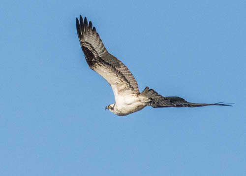 Linn and Michael's photos