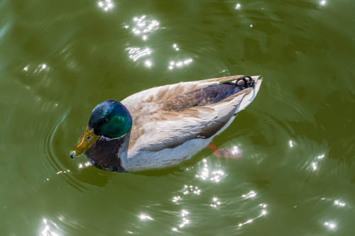 Lin and Michael's Photos