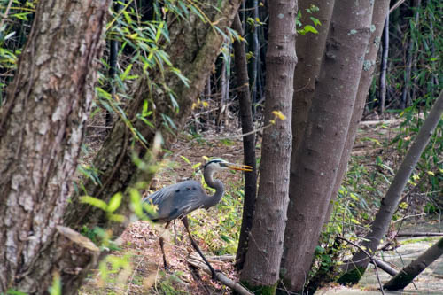 Lin and Michael's Photos