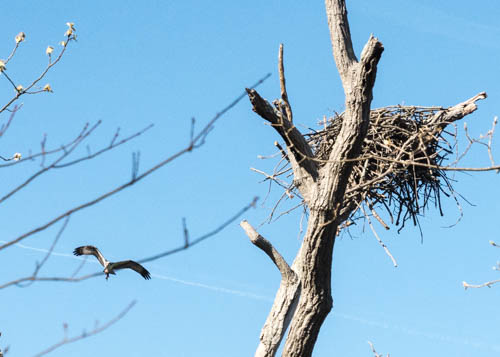 Lin and Michael's Photos