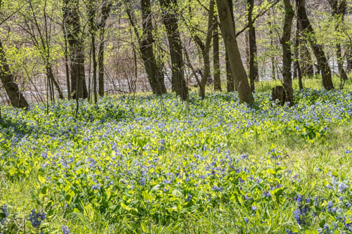 Lin and Michael's Photos