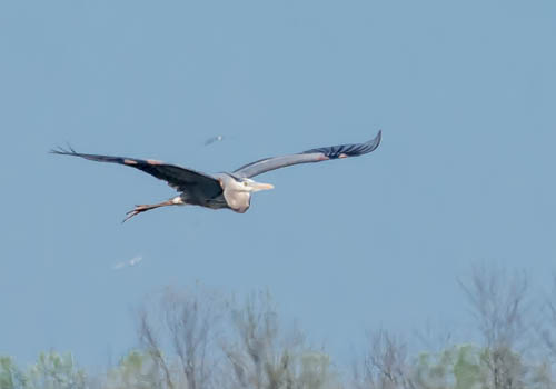 Lin and Michael's Photos