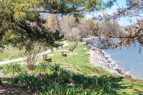 Lin and Michael's Photos