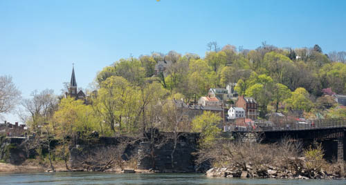 Lin and Michael's Photos