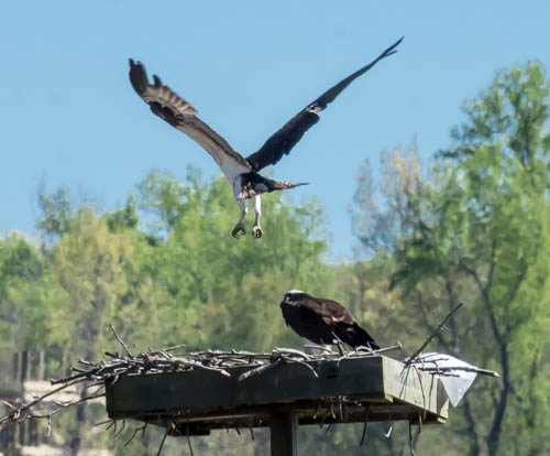 Lin and Michael's Photos